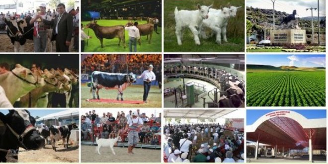 Burdur 1.Teke Yöresi Canlı Hayvan, Hayvancılık, Tarım Teknolojileri ve Yem Fuarı