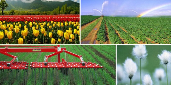 Agritech 2015 5.Fethiye Tarım, Seracılık, Hayvancılık, Gıda ve Tarım Makineleri İhtisas Fuarı