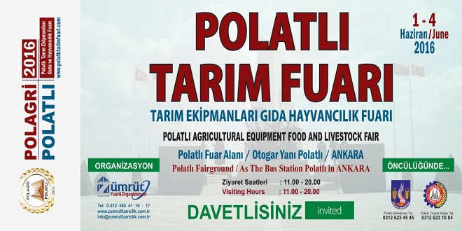 POLAGRİ 16