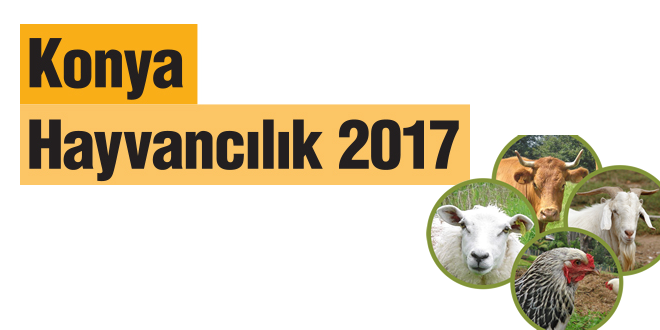 Konya Hayvancılık-2017