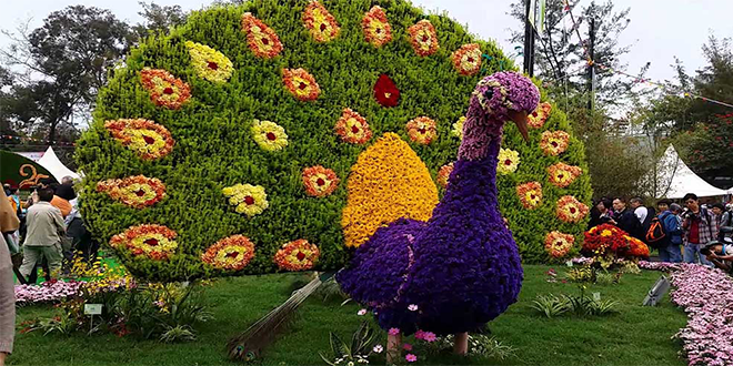 Flower Show İstanbul-2017