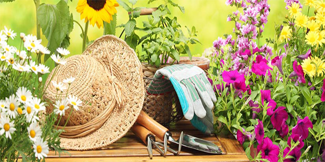 CNR Bahçe Mobilyaları Fuarı-2017