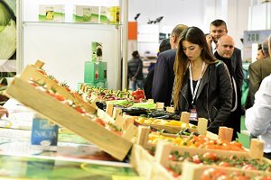 Tarım, Seracılık, Gıda, Ambalaj, Gıda Lojistiği-2017