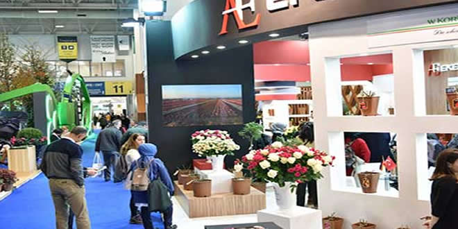 The Flower and Plant Show