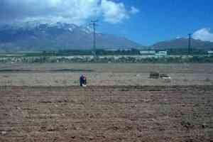 Adilcevaz`da Sebze Ekim Hazırlıkları