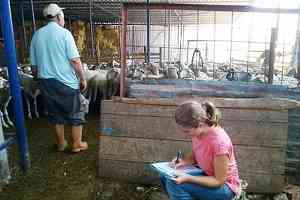 Canlı Hayvan Fuarı`nda Ana Tema Güncelleme