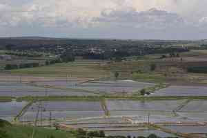 Çeltik Tarlalarına Duayla Su Salındı