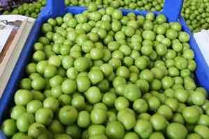 Erik üreticileri sezonu mutlu kapattı