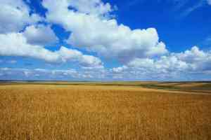 Kastamonu`da Tarımsal Alanlar Azalıyor