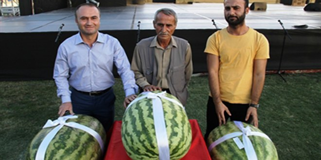 62 Kiloluk Karpuzu Büyütmek İçin Başında Günlerce Nöbet Tuttuk`