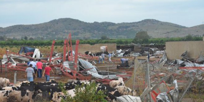 Adana`da Şiddetli Fırtına Besi Çiftliğini Yerle Bir Etti