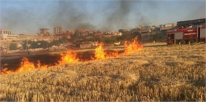 Batman`da Anız Yakma ile Mücadele Sürüyor