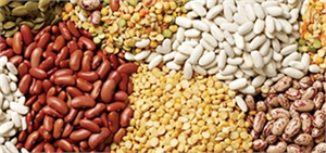 2013 Yılının Başarılı İhracatçıları Ödüllendirildi