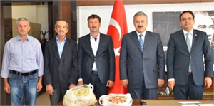 Aydın`da Antep Fıstığı Üretimi Hızla Yaygınlaşıyor