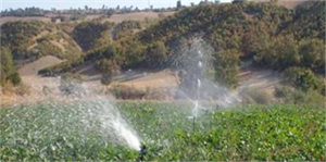 Beyşehir`da Tarım Alanlarındaki Toplulaştırma ve Sulama Sorunları