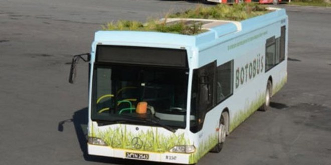 `Botobüs` trafiğe çıktı!