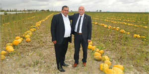 Aksaray, Çerezlik Kabak Üretiminde Türkiye`de 3`üncü Sırada