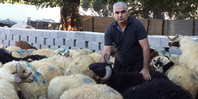 Ceyhan`da Kurbanlık Fiyatları Açıklandı