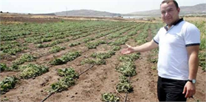 Çiftçi Susuzluk Nedeniyle Ürün Ekmeyi Bıraktı