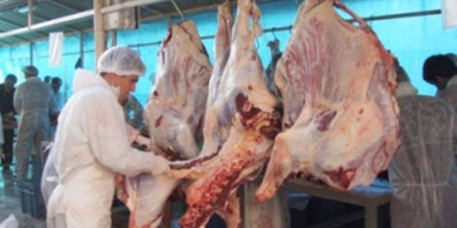 Çorum`da Kurban Kesim Yerleri Belirlendi