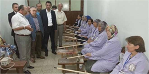 Devrek`te Bahçeden Bastona Kızılcık Projesi