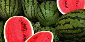 Diyarbakır Kültür ve Karpuz Festivali