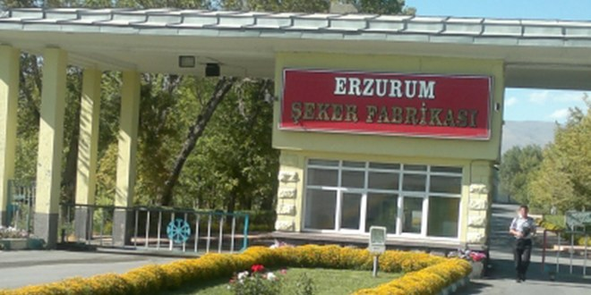 Erzurum`da Günlük 500 Ton Şeker Üretilecek