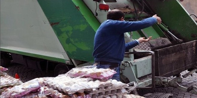 Gümüşhane`de 10 Bin Yumurta İmha Edildi