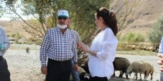 Hakkari`de Hayvan Sağlığı Taraması Yapıldı