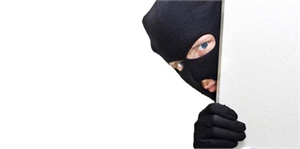 Hakkari`de `Hayvan Hırsızlığı Projesi`