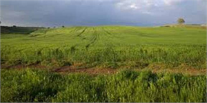 Hazine Arazisinin Kiralanmasında Çiftçiye Ödeme Kolaylığı