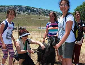 Karaburun Kıl Keçisi Panayır`da Sergilenecek!