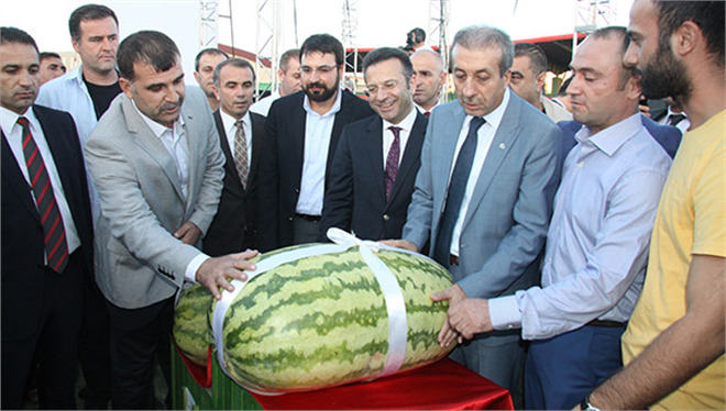 Diyarbakır`da `Kültür ve Karpuz Festivali`