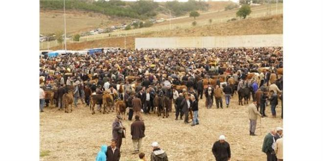 Gıda Tarım ve Hayvancılık Bakanlığı`dan Kurbanlık Satacak ve Alacak Vatandaşlara Uyarı