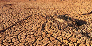 Konya`da Kuraklık ve Çölleşme Sempozyumu Düzenlenecek