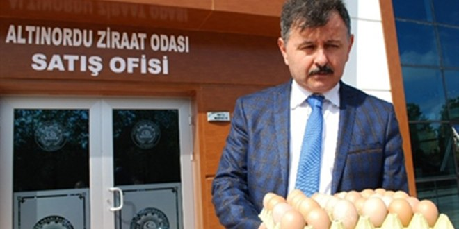 Köy Tavukçuluğu Projesi