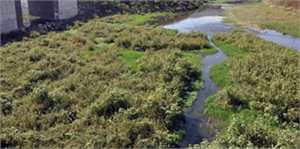 Kuraklık Karadeniz Bölgesi`ni de Vurdu