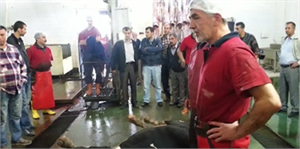 Kurbana `Eziyetin` Cezası 2 Bin 281 Lira