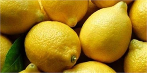 Limon Bu Sezon da El Yakacak