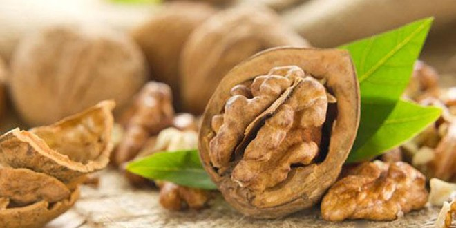 Manisa`da Ceviz Hasadı Başladı