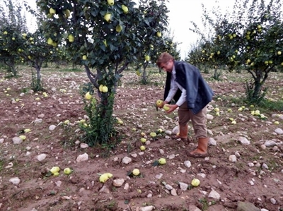 Geyve`de 2 Bin 500 Dönüm Ekili Alan Zarar Gördü