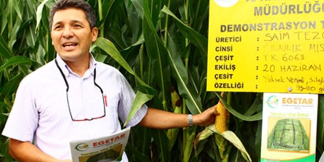 Muğla`da Alternatif Uygulama Silajda Kaliteyi Arttırdı