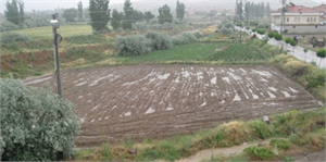 Niğde`deki Patates Tarlaları Sular Altında