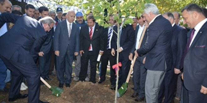 Orhangazi`de Turşu Festivali