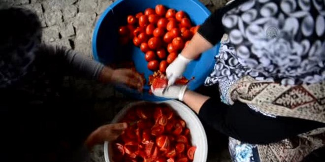 Salça Makinesi Kadınların `Ekmek Teknesi` Oldu
