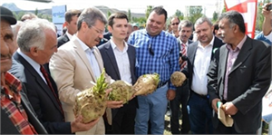 Şeker Pancarı da Pancar Ekicisi de Sahipsiz Değil