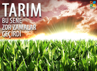 Tarım Bu Yıl Zor Dönem Geçirdi