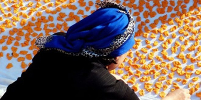 Trakya`da Kış Hazırlıkları