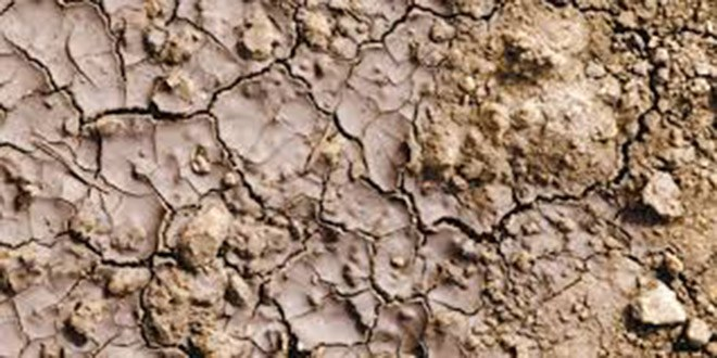 Günde 12 Futbol Sahası Büyüklüğünde Tarım Alanı Yok Oluyor