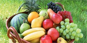 OECD: Dünyanın 7`nci Büyük Tarım Üreticisi Türkiye Etkileyici İlerleme Elde Etti